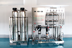 0.25T双级纯化水设备